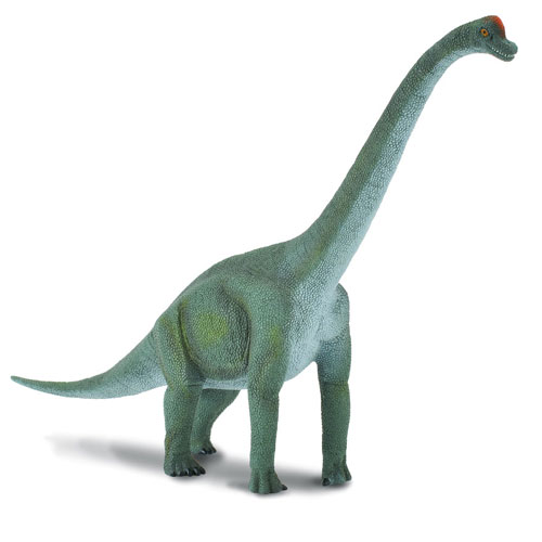 Collecta ブラキオサウルス [ノアハートクラブ]