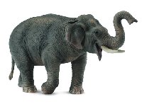 Collcta アジアゾウ g6bh9ry Collecta アジアゾウ [ノアハートクラブ]